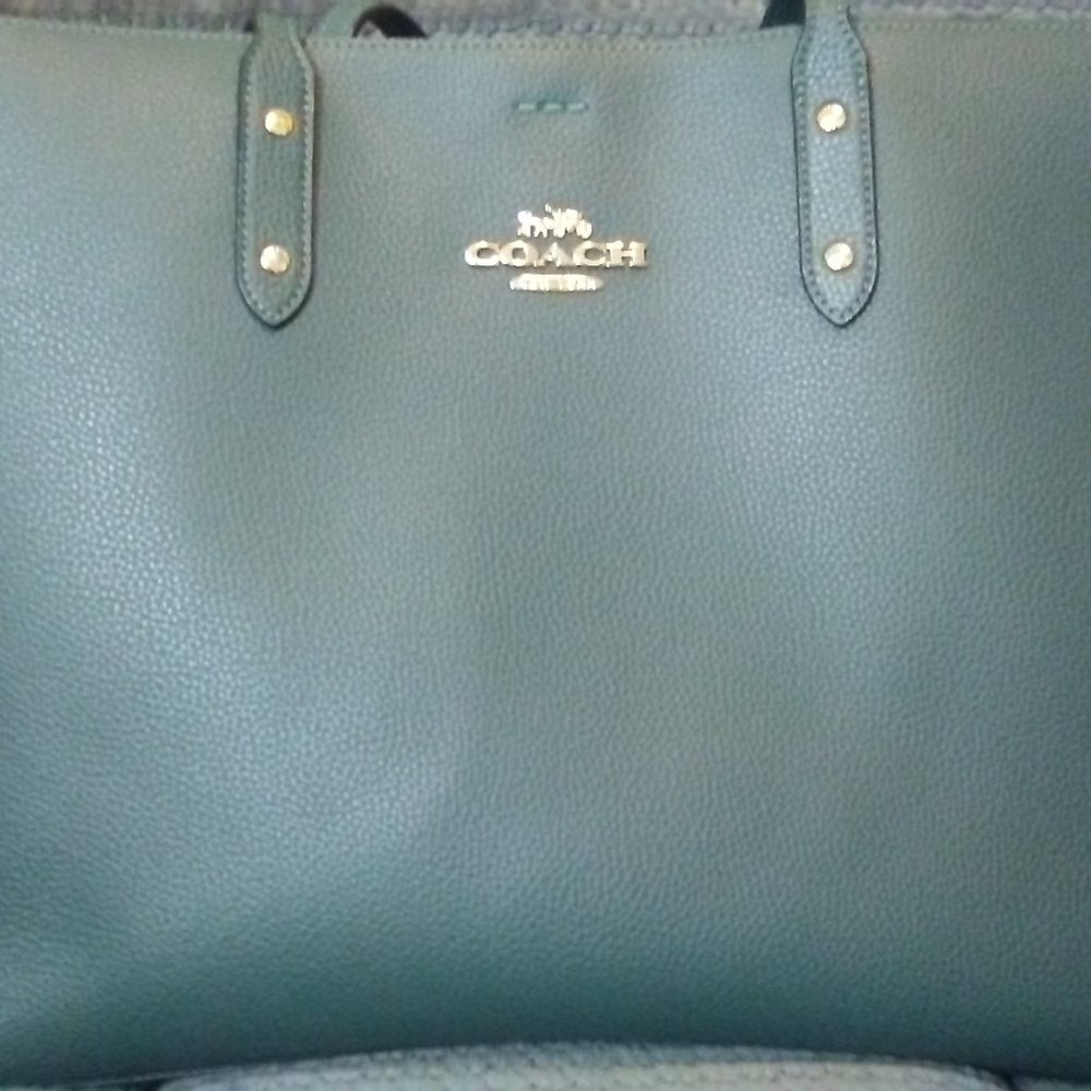 Coach Tote & Aldo Shoes
